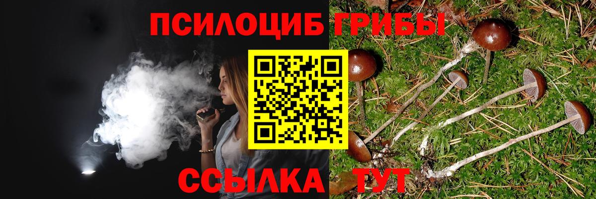Волгодонск  Галлюциногенные грибы Magic Shrooms  Вход с VPN 